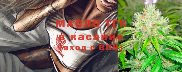крисы Алексин